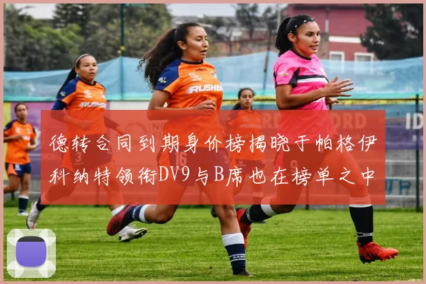 德转合同到期身价榜揭晓于帕格伊科纳特领衔DV9与B席也在榜单之中