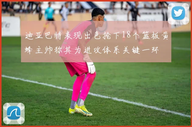 迪亚巴特表现出色抢下18个篮板黄蜂主帅称其为进攻体系关键一环