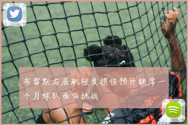 布雷默右屈肌轻度损伤预计缺席一个月球队面临挑战